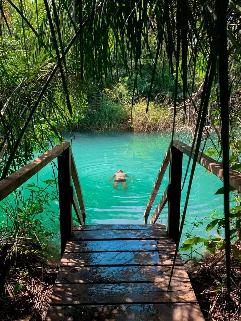 Belezas naturais: confira 7 passeios turísticos para fazer em