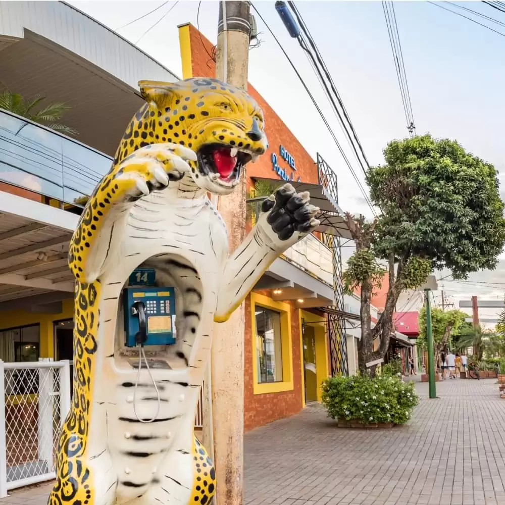 Hotel Paraíso das Águas - Foto 2