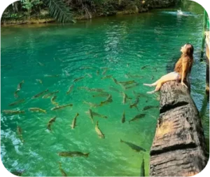 Quais são os Tipos de Passeios em Bonito?