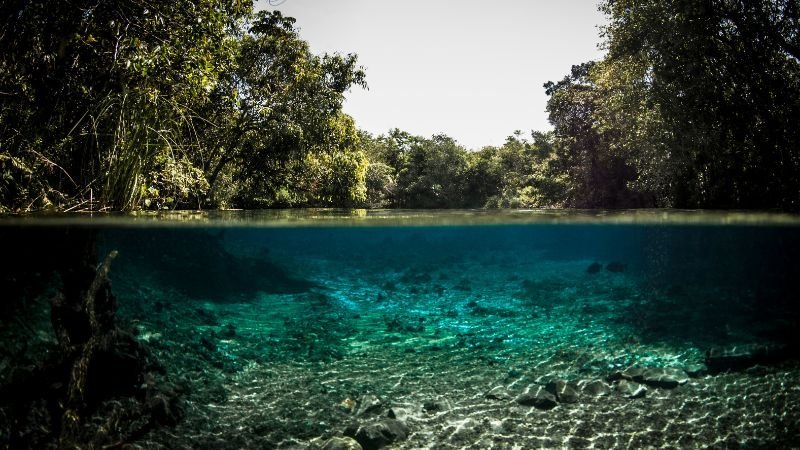 visitar o pantanal