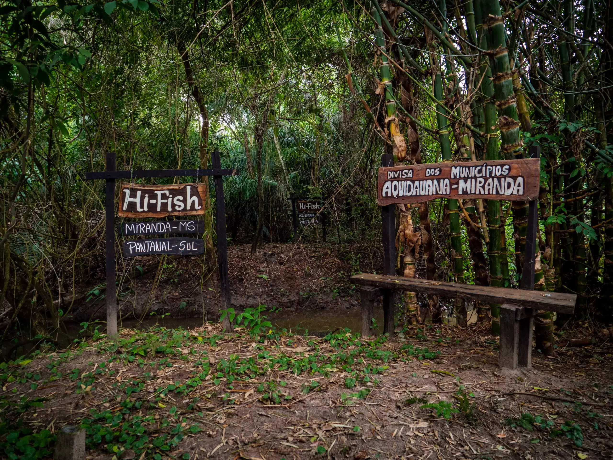 Pantanal Experiência – Cheiros e Sabores