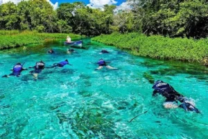 Como Escolher a Melhor Agência de Viagens em Bonito (e Evitar Dores de Cabeça)