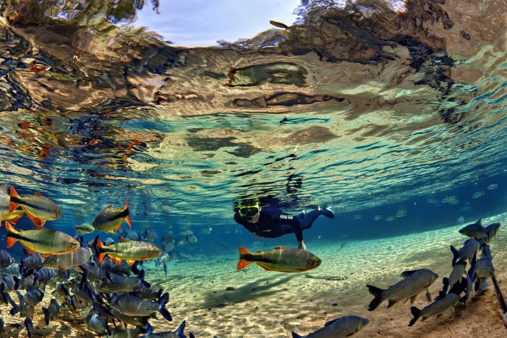 Como é nadar com peixes em rios cristalinos? A gente conta!