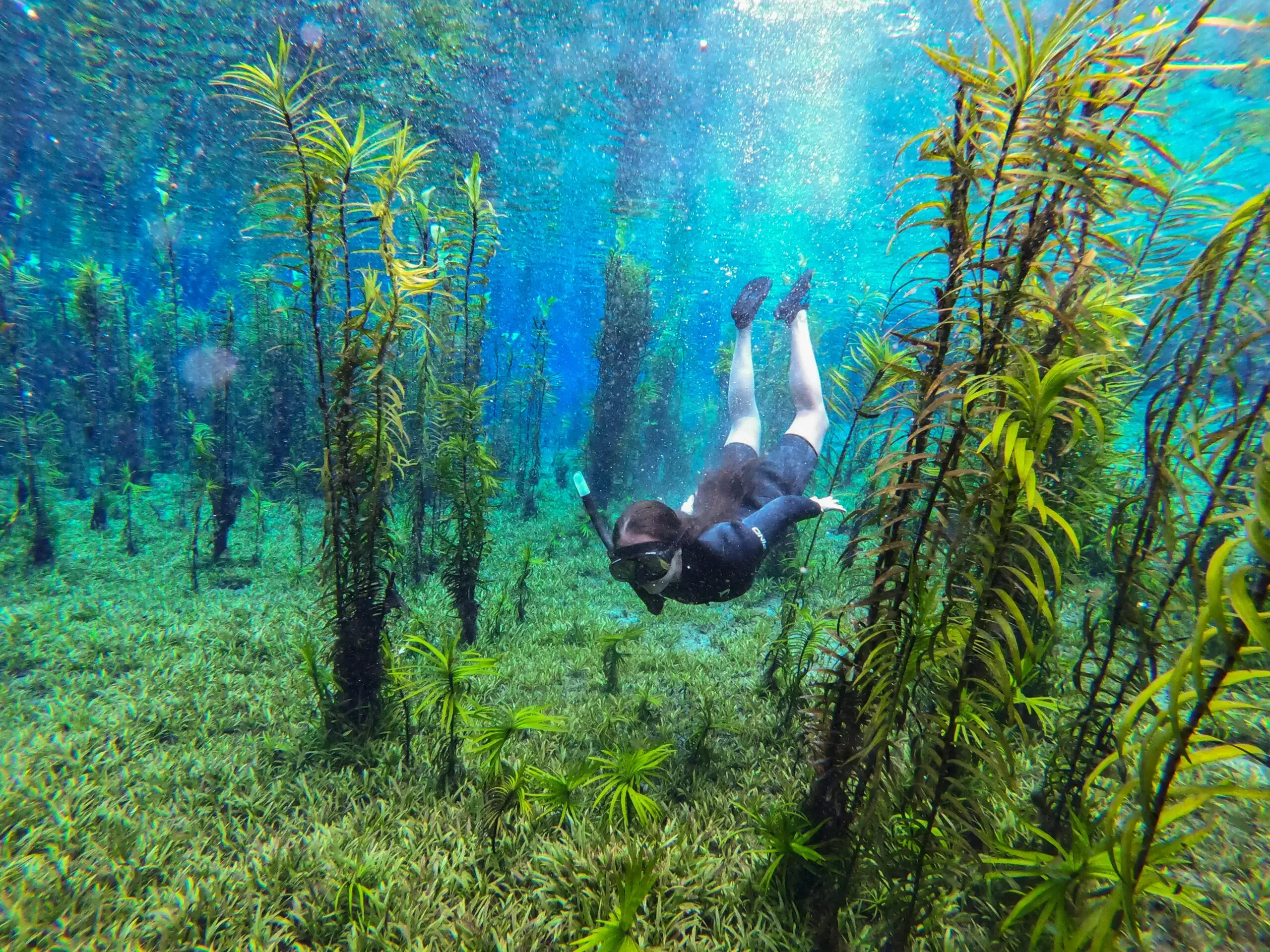 Nascente da Serra – Rio Azul Flutuação