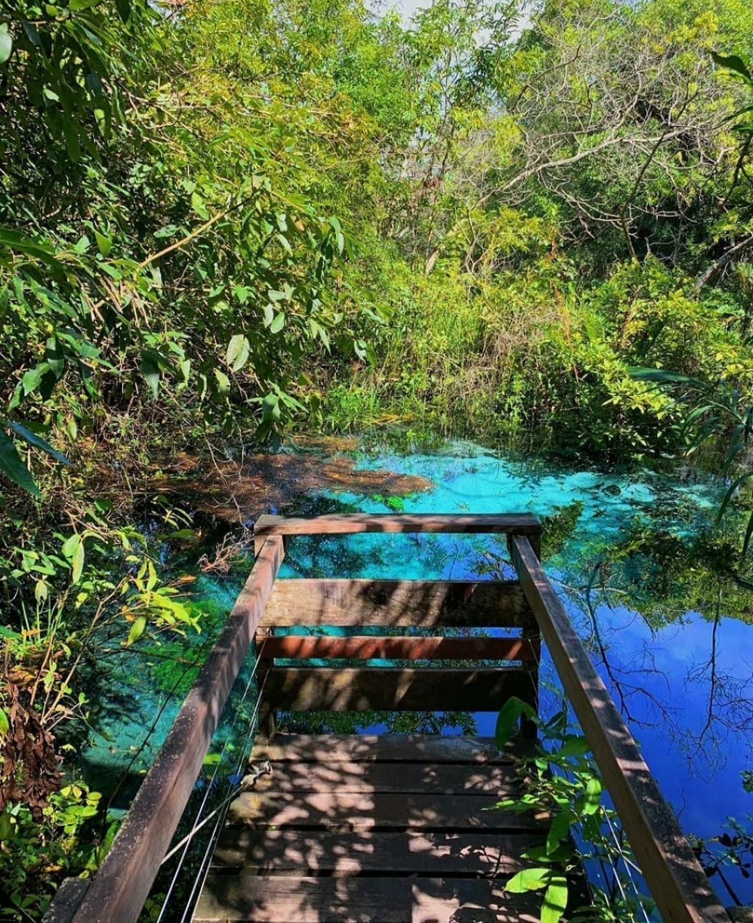 Flutuação no Rio Sucuri