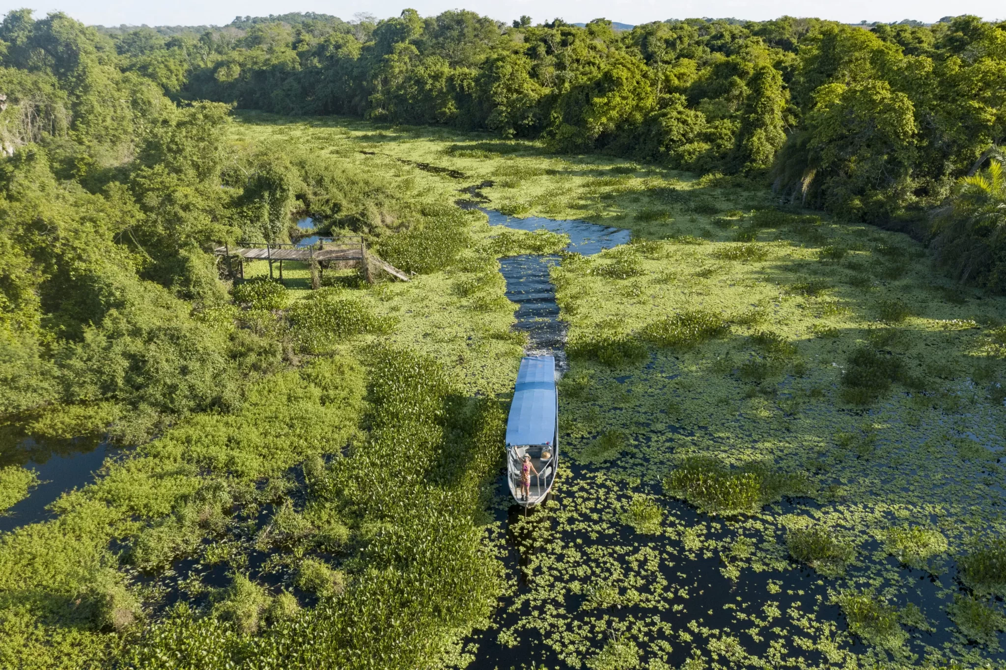 Na rota de juma marruá: 5 passeios para fazer no Pantanal MS