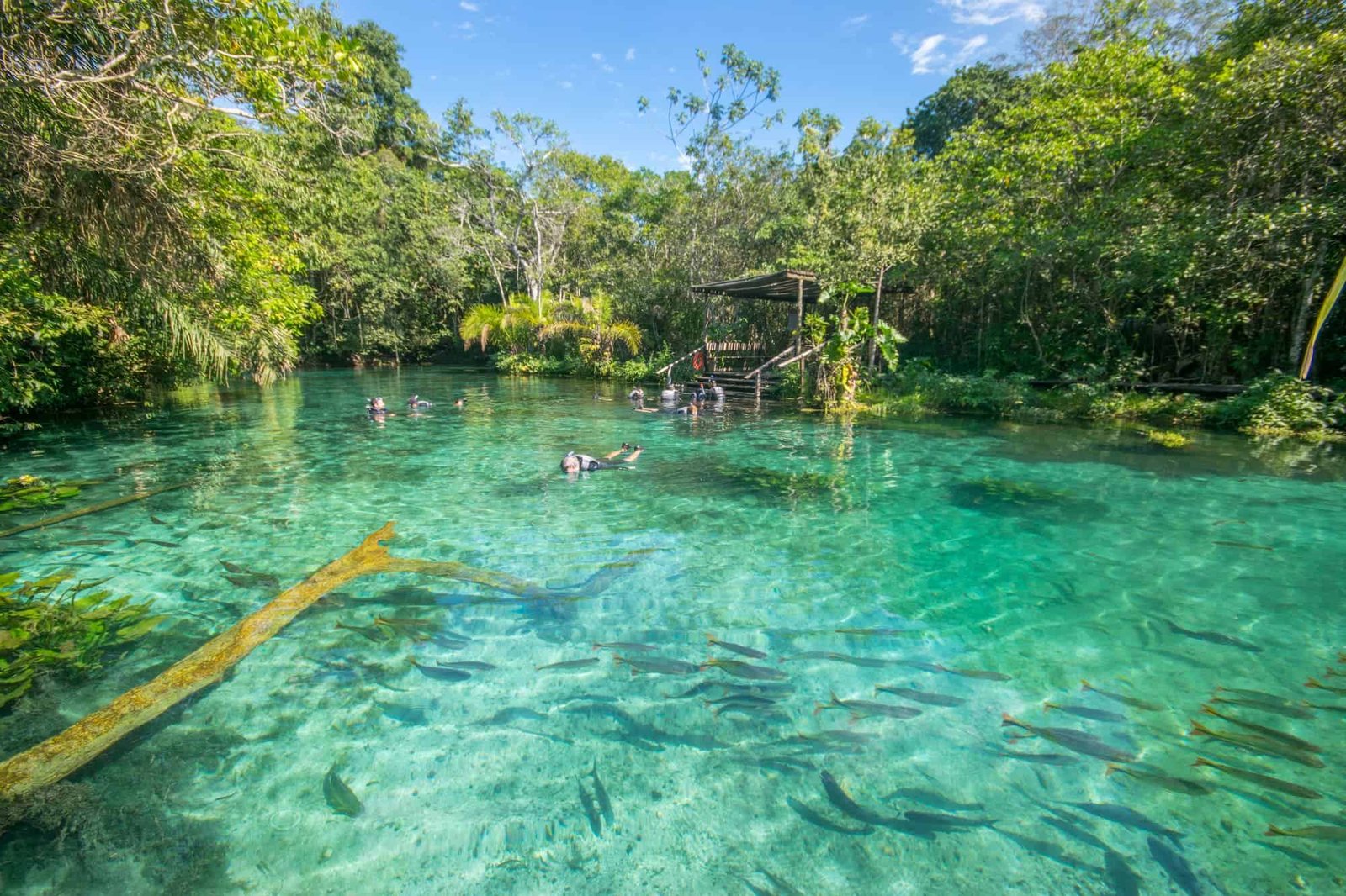 Qual é o passeio mais barato de Bonito MS? - Agencia Bonito Demais