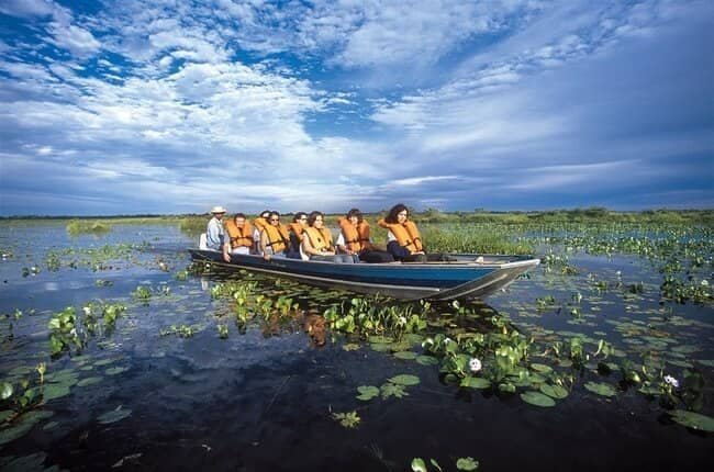 viajar para o pantanal