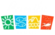 Agência Bonito Demais