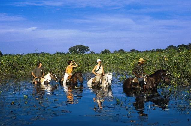 visitar o pantanal