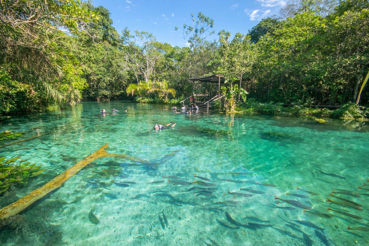 Nascente Azul: tudo sobre a melhor flutuação de Bonito (MS)
