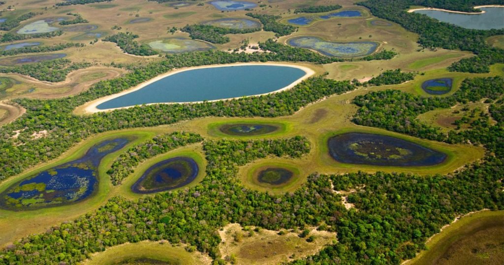 visitar o pantanal