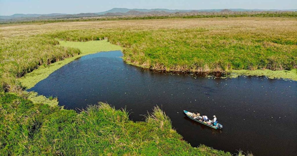 visitar o pantanal