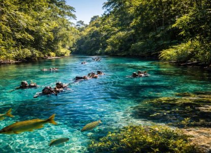 Melhores passeios em Bonito