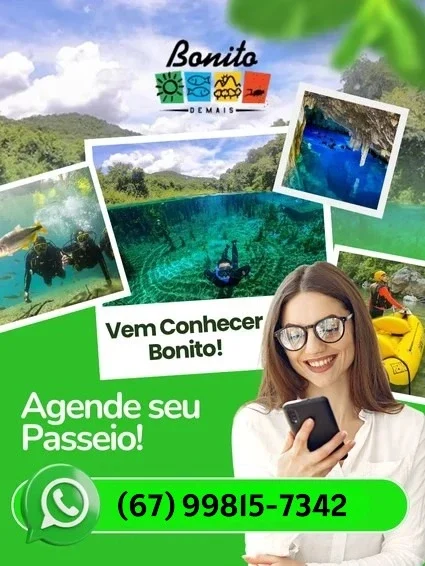 Whatsapp - Agende seu Passeio!