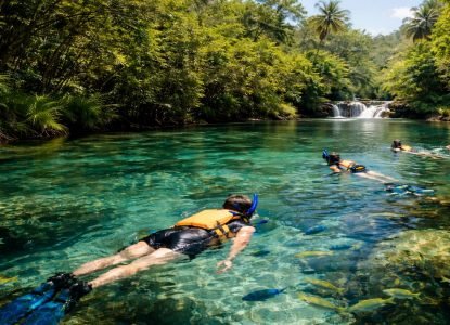 passeio ecológico em Bonito MS